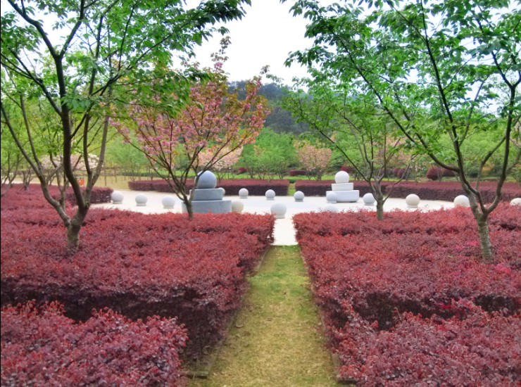 幸福山生命公園中的八卦廣場