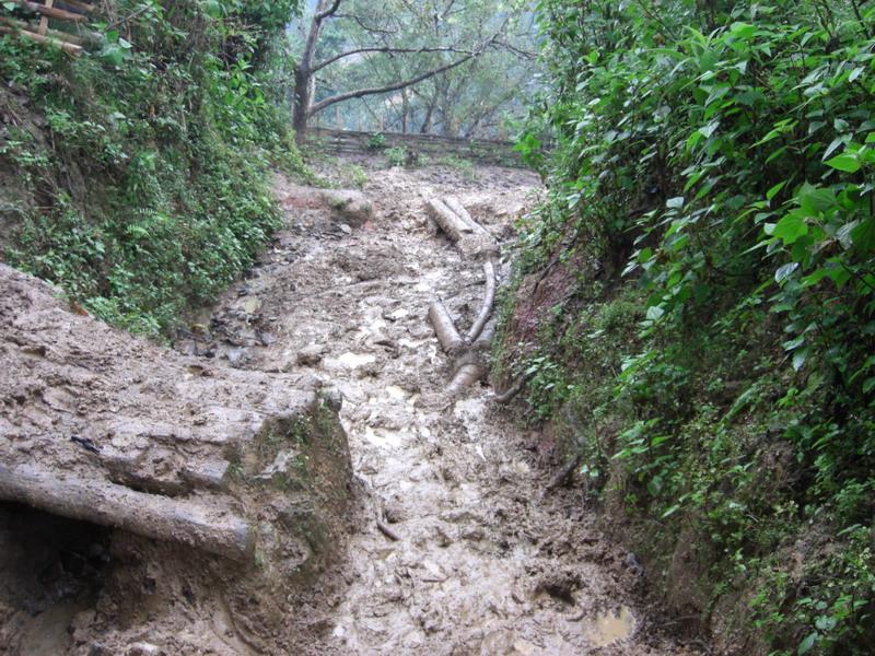 岩子頭自然村(雲南臨滄鳳慶縣新華鄉紫微村委岩子頭自然村)