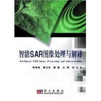 智慧型SAR圖像處理與解釋