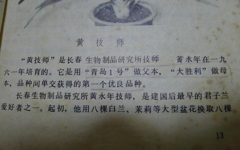 史書記載黃技師的證實資料圖