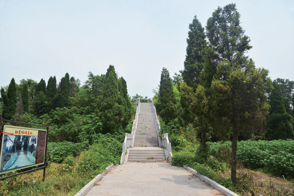 棲霞堌堆遺址(棲霞固堆遺址)