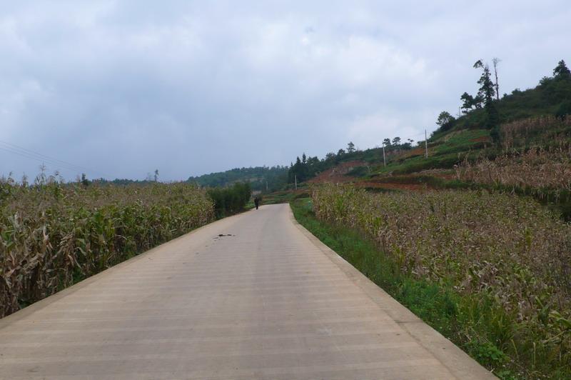 進村道路