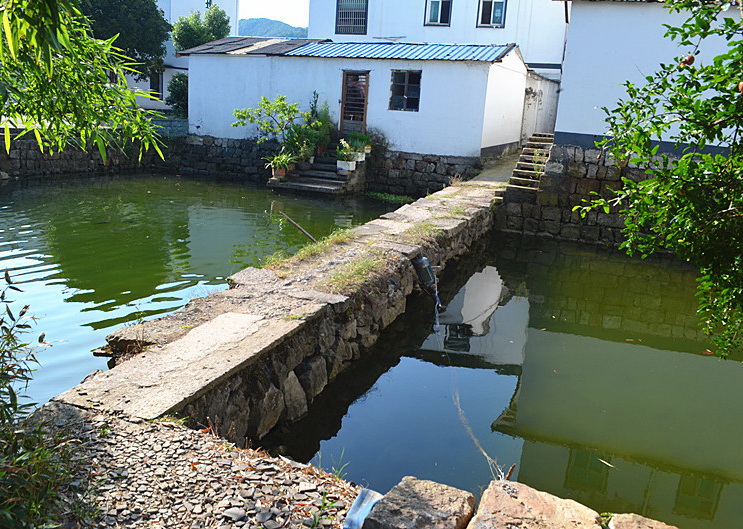 九板橋村