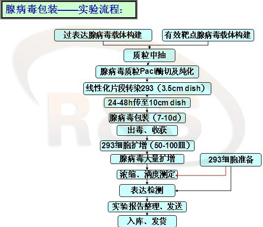 病毒包裝