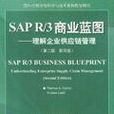 SAP R/3商業藍圖