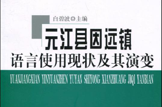 元江縣因遠鎮語言使用現狀及其演變