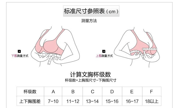 胸罩(胸衣（胸衣）)