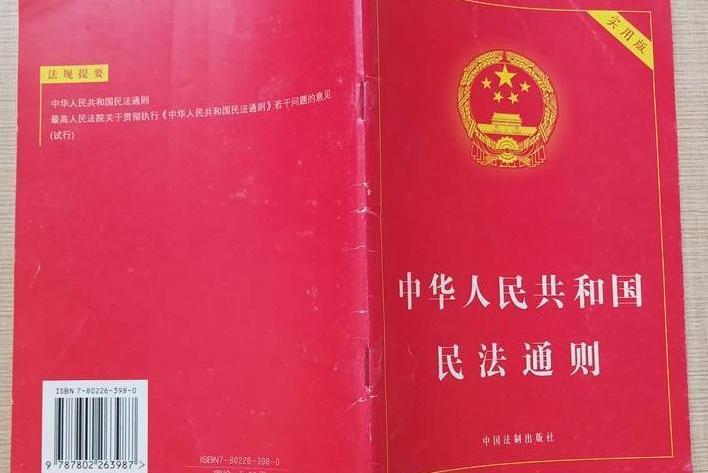 中華人民共和國民法通則(2008年中國法制出版社出版的圖書)