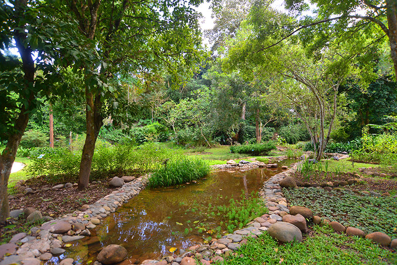 中國科學院西雙版納熱帶植物園