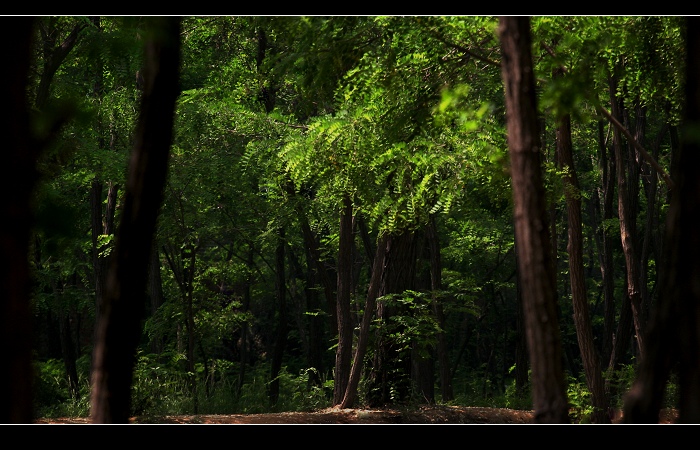 邢台森林公園