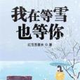 我在等雪也等你