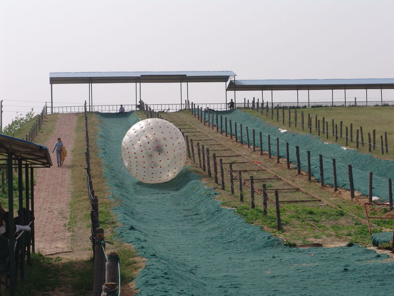 金鷺鴕鳥遊樂園