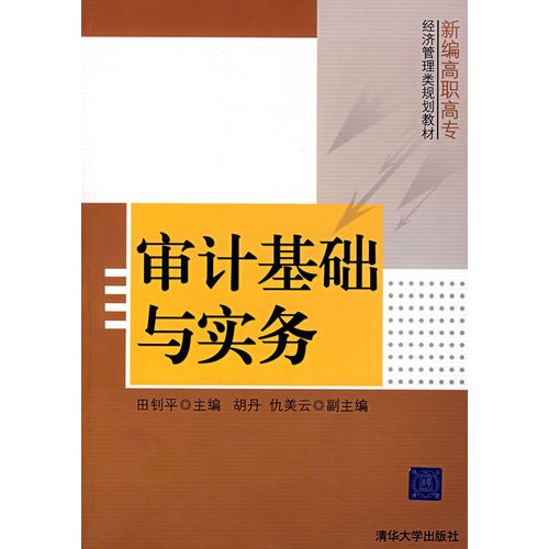 新編高職高專經濟管理類規劃教材：審計基礎與實務