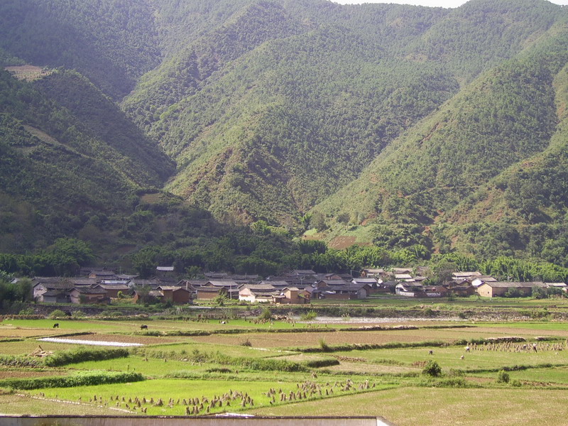 光華村(遼寧省大連市莊河市吳爐鎮光華村)