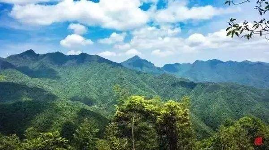 廣西獅子山國家森林公園