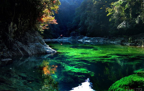 銅鈴山國家森林公園景區