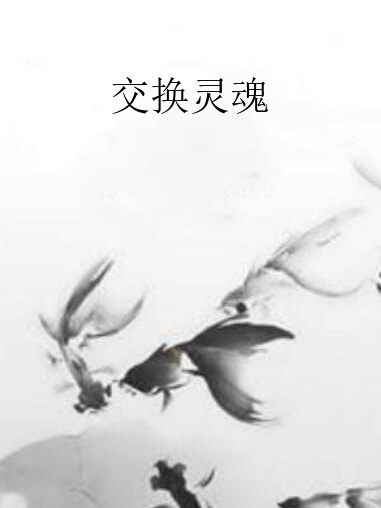 交換靈魂(天源凌所著小說)