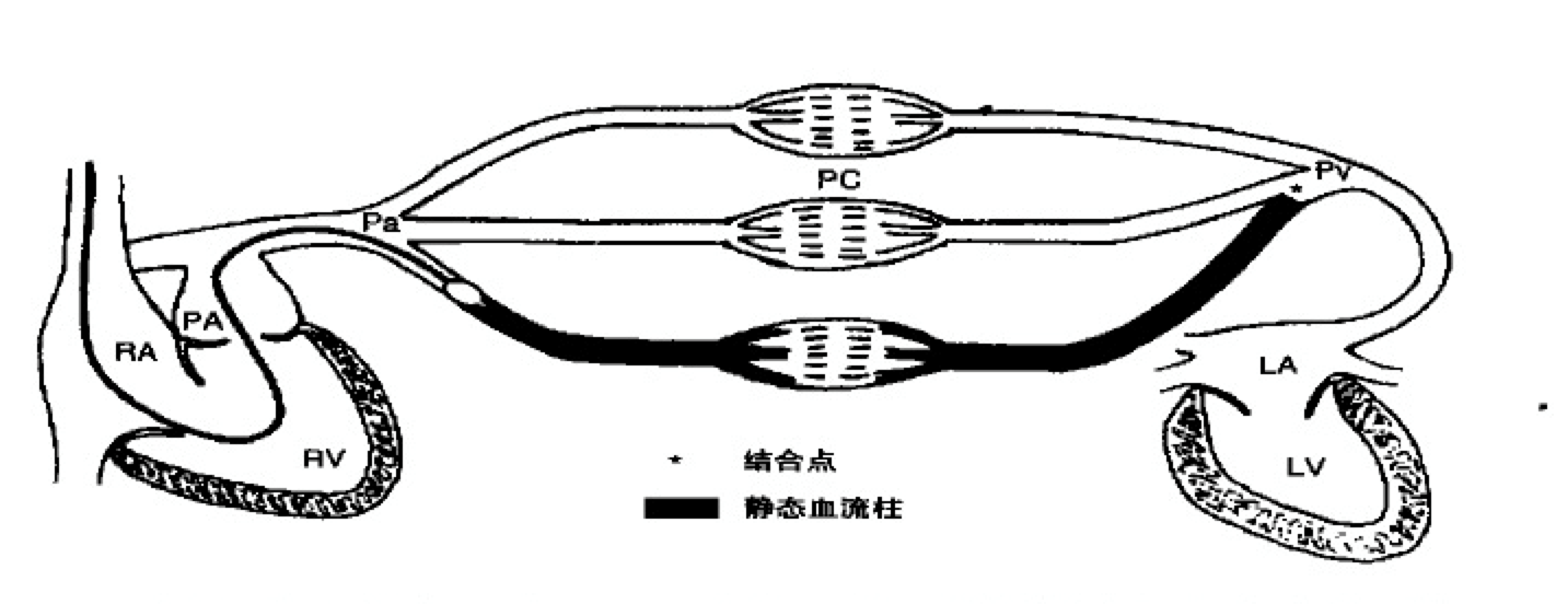 肺動脈楔壓