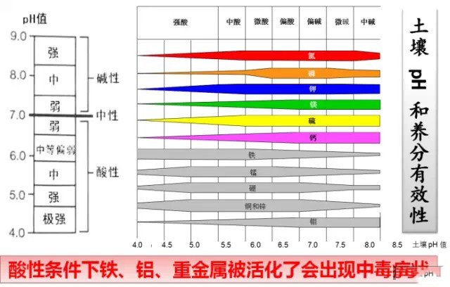 澤土