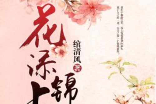 花添錦上(網路小說)