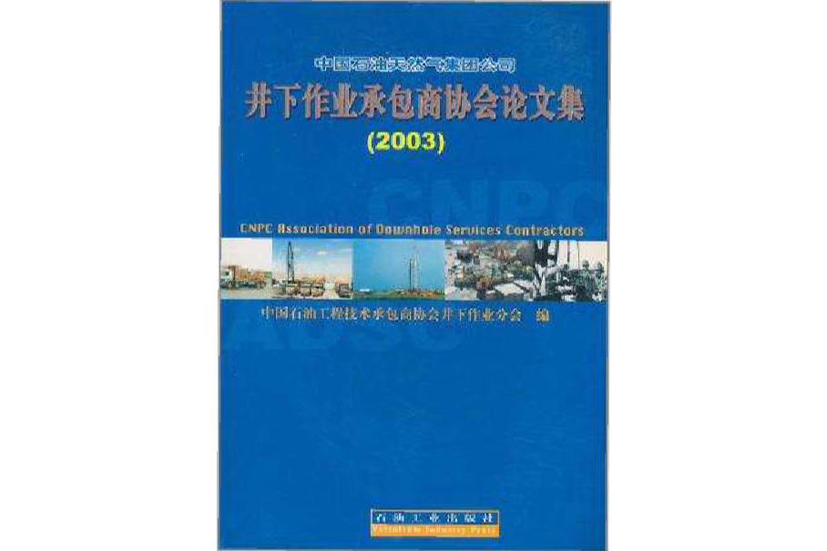 中國石油天然氣集團公司井下作業承包商協會論文集