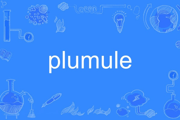 plumule