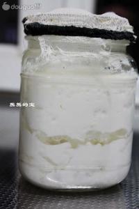 雪蓮菌版自製優酪乳西瓜奶昔