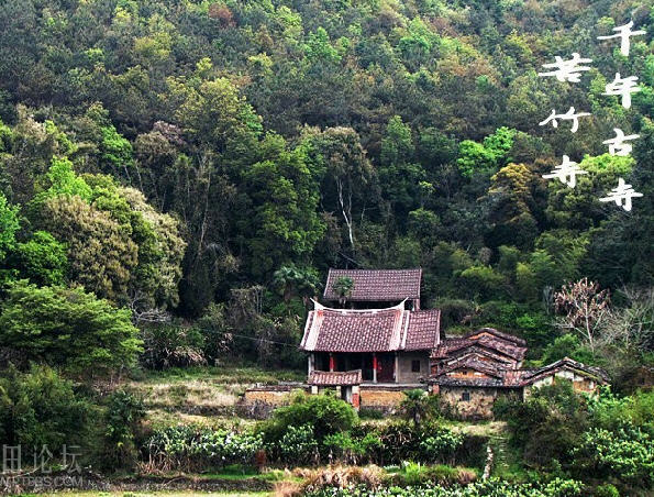 苦竹寺(福建莆田苦竹寺)