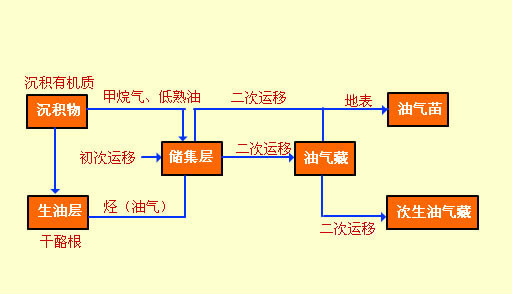 初次運移