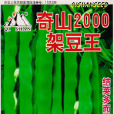 2000架豆王