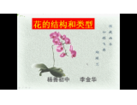 花的結構和類型