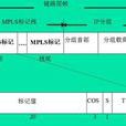 通用多協定標籤交換