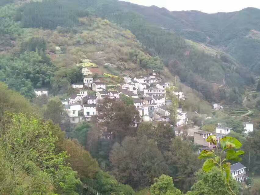 小源村(黃山市小源村)