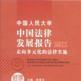 中國人民大學中國法律發展報告2011 走向多元化的法律實施