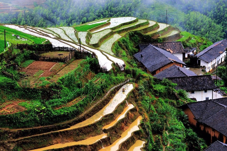 客家梯田國家級水利風景區