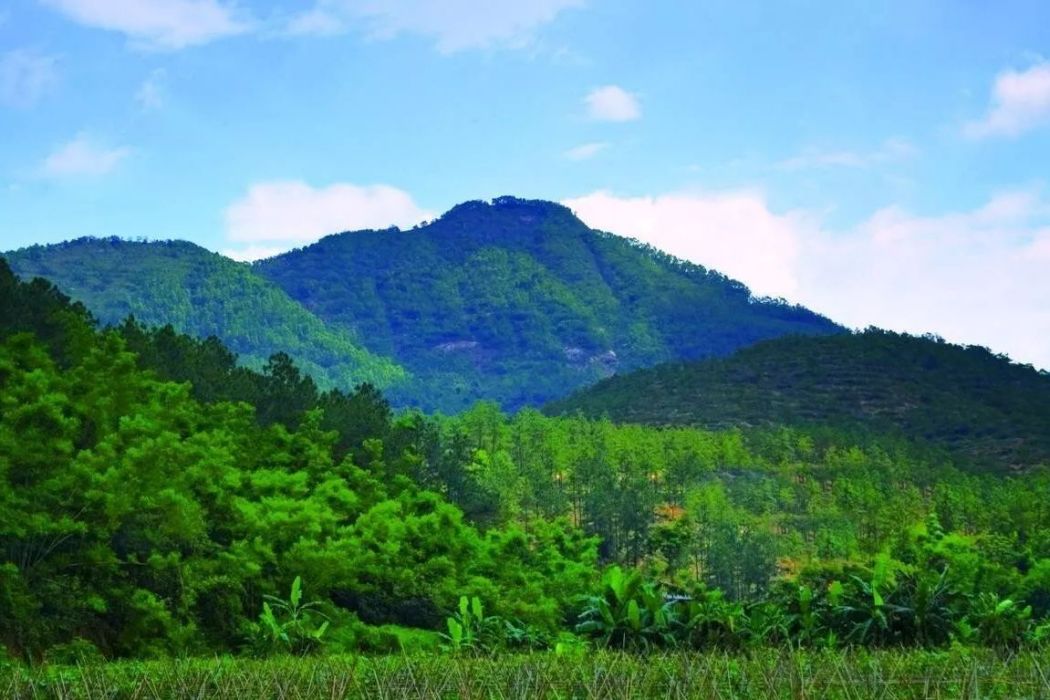 尖山森林公園