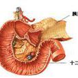 胰腺纖維化