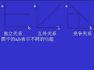 森林分類經營