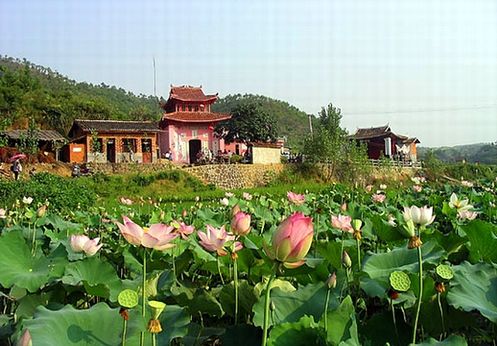 百蓮村(雲南省曲靖市霑益區菱角鄉百蓮村)