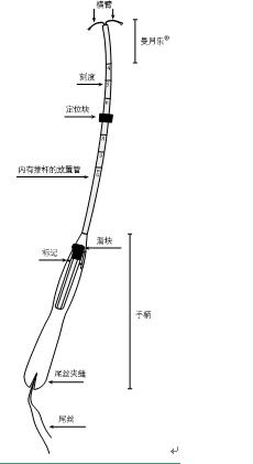 曼月樂