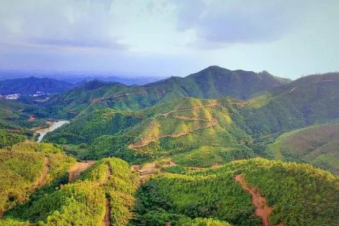 廣東六王山森林公園