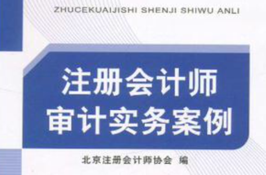 註冊會計師審計實務案例