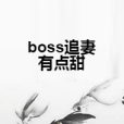 boss追妻有點甜