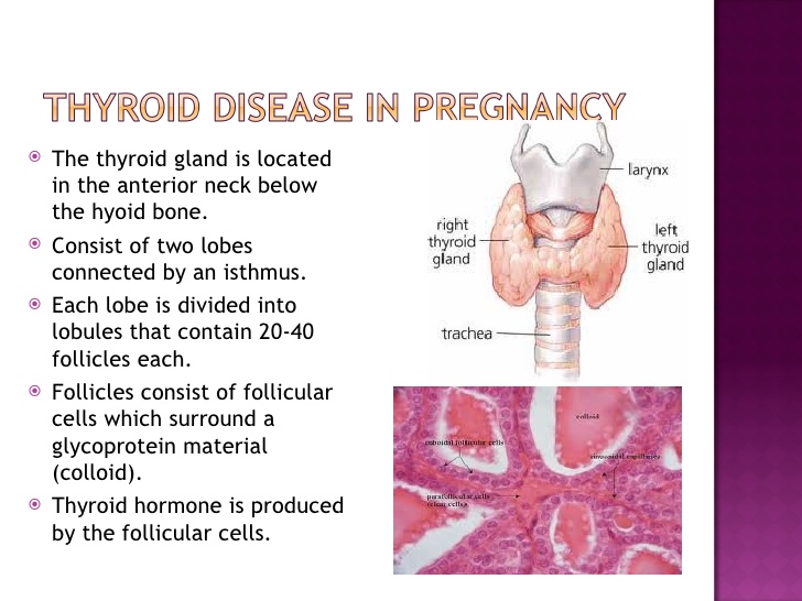 妊娠甲狀腺病