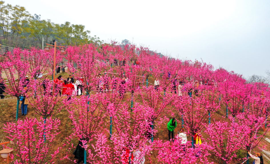 瀘州長江濱江公園