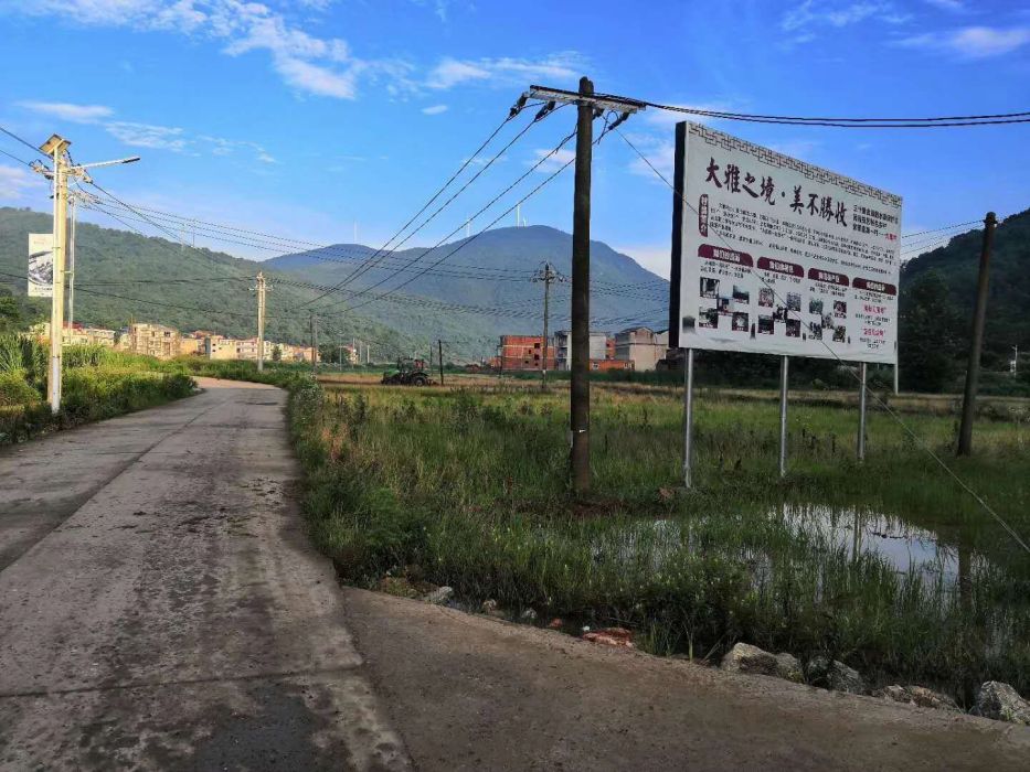 大雅村(湖北黃石市陽新縣富池鎮大雅村)