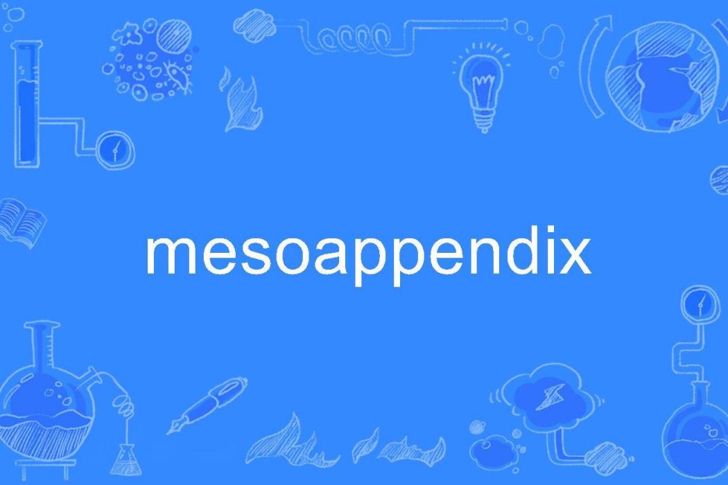 mesoappendix