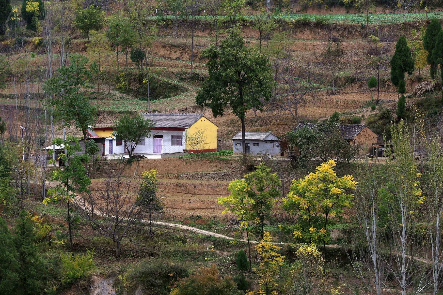 西坡村(山西省長治市上黨區北呈鄉下轄村)