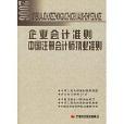 2006企業會計準則中國註冊會計師執業準則