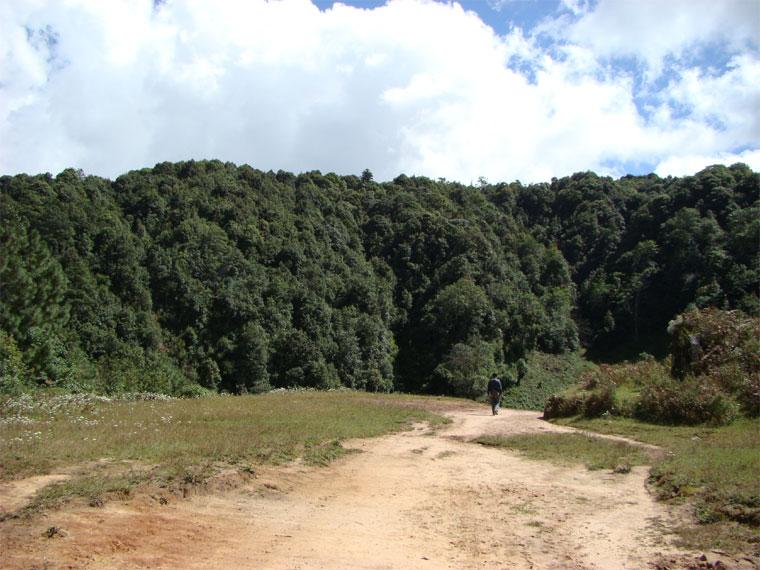 平掌村自然村山林